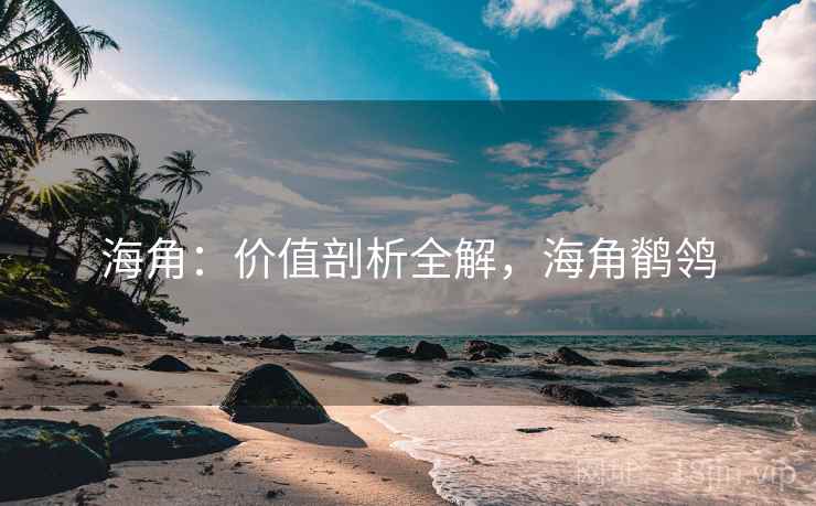 海角：价值剖析全解，海角鹡鸰  第1张