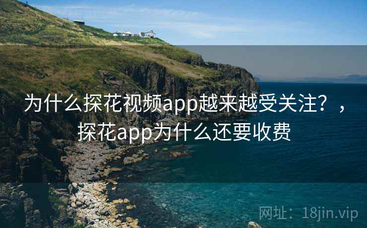 为什么探花视频app越来越受关注?,探花app为什么还要收费 第2张 为什么探花视频app越来越受关注?,探花app为什么还要收费 第2张