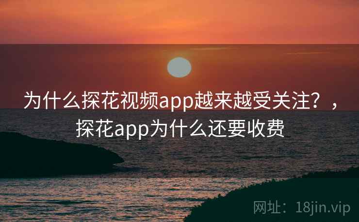 为什么探花视频app越来越受关注?,探花app为什么还要收费 第1张 为什么探花视频app越来越受关注?,探花app为什么还要收费 第1张