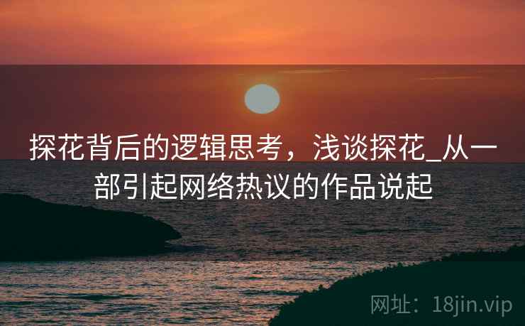探花背后的逻辑思考,浅谈探花_从一部引起网络热议的作品说起 第1张 探花背后的逻辑思考,浅谈探花_从一部引起网络热议的作品说起 第1张