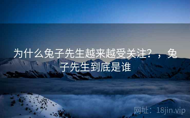 为什么兔子先生越来越受关注?,兔子先生到底是谁 第2张 为什么兔子先生越来越受关注?,兔子先生到底是谁 第2张