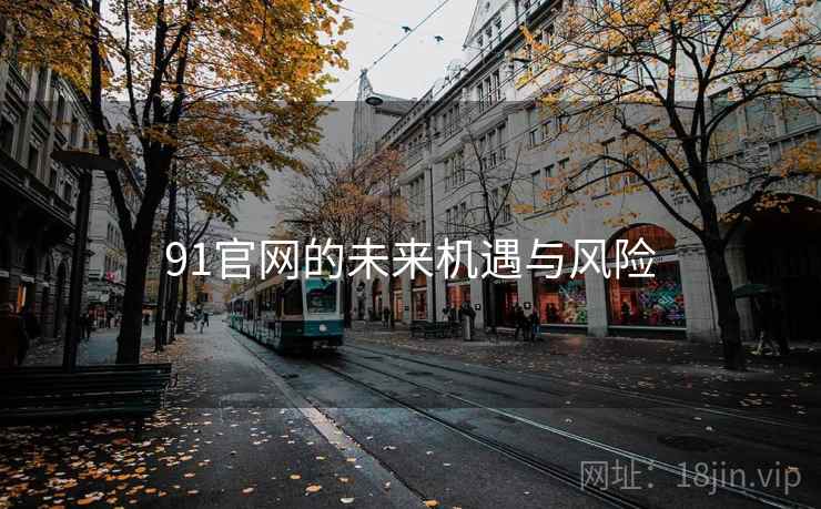 91官网的未来机遇与风险 第1张 91官网的未来机遇与风险 第1张