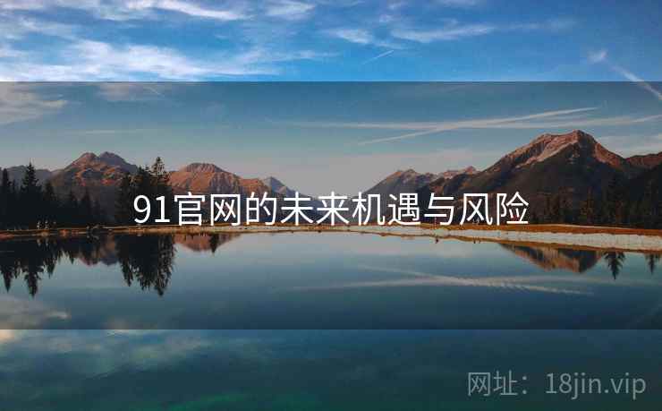 91官网的未来机遇与风险 第2张 91官网的未来机遇与风险 第2张